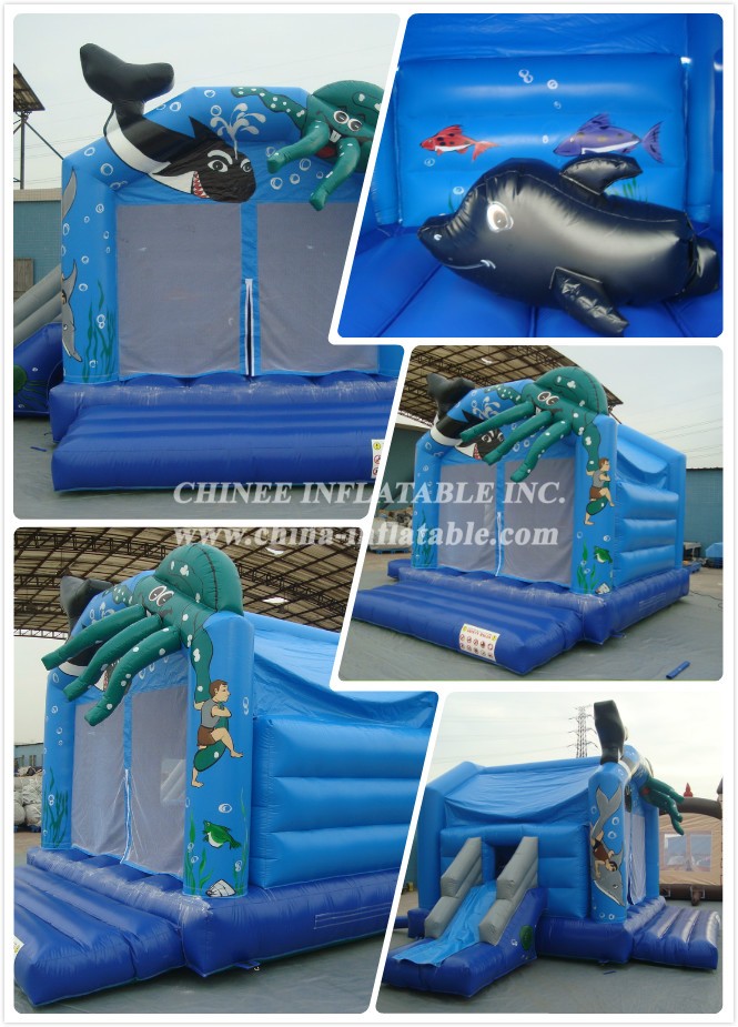 a - Chinee Inflatable Inc.