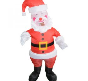 IC1-005 Christmas Costume