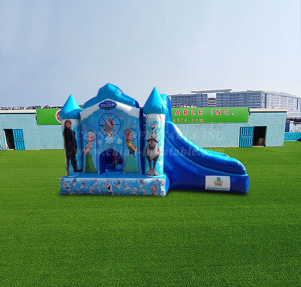 T2-4590 Frozen Castle With Slide