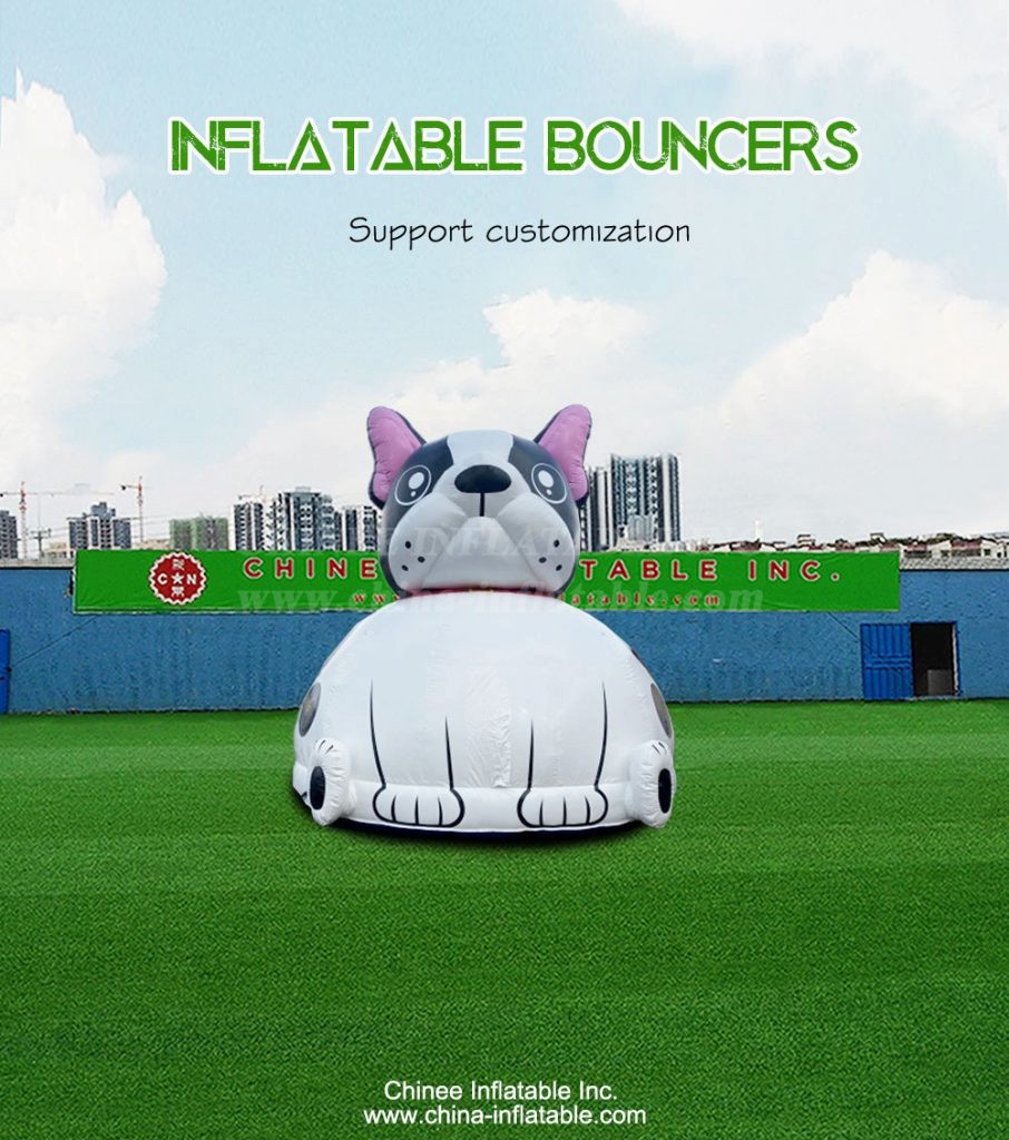 T2-4765-1 - Chinee Inflatable Inc.