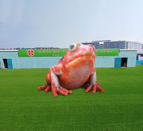 S4-536 Inflatable Tomato Frog