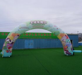 Arch2-502 Inflatable Arch