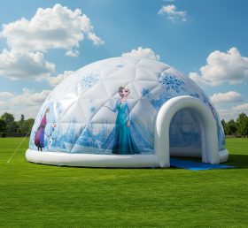 Tent1-4925 Frozen Inflatable Dome
