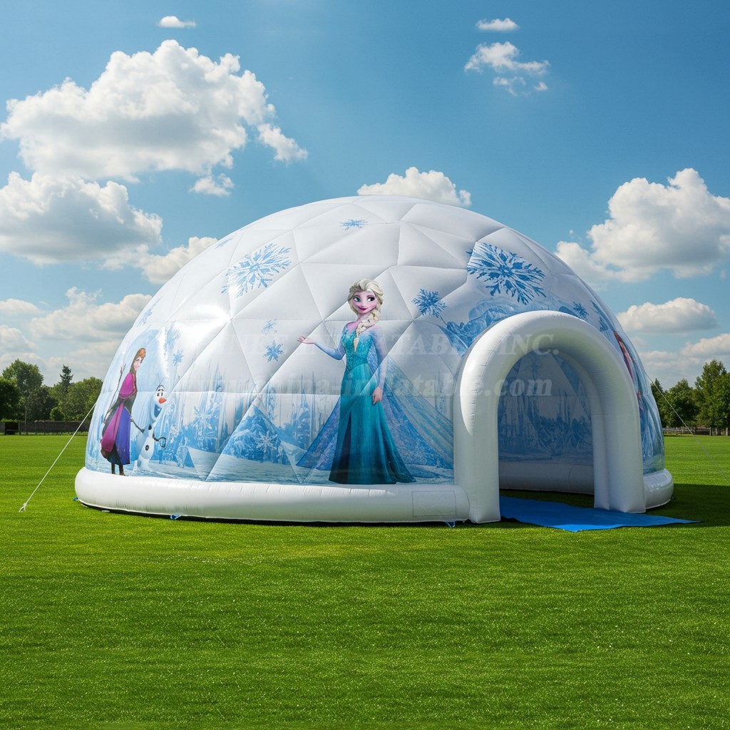 Tent1-4925 Frozen Inflatable Dome