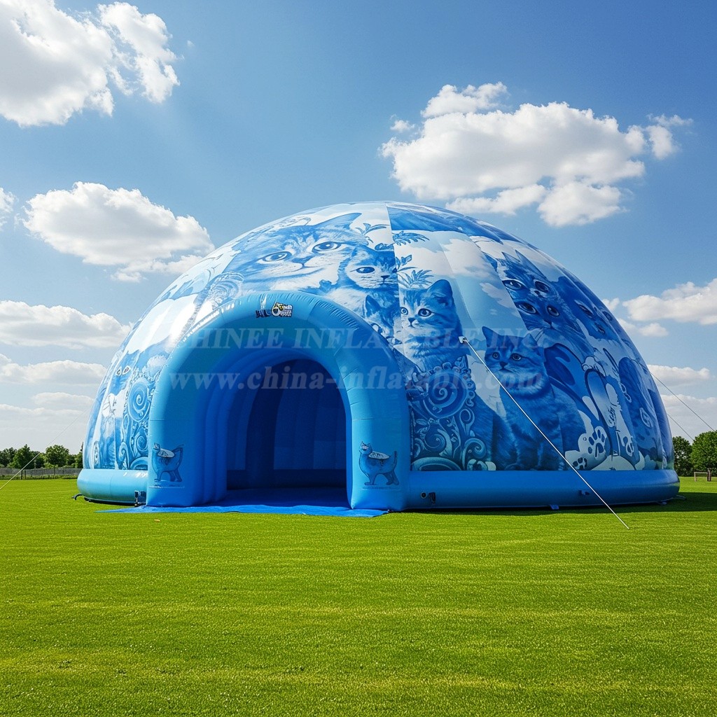 Tent1-4817 Blue Cat Inflatable Dome