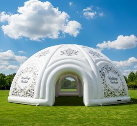 Tent1-4919 Weddings Inflatable Dome