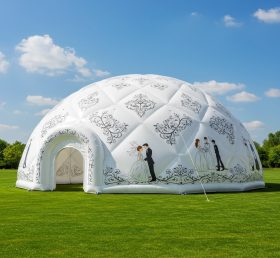 Tent1-4920 Weddings Inflatable Dome