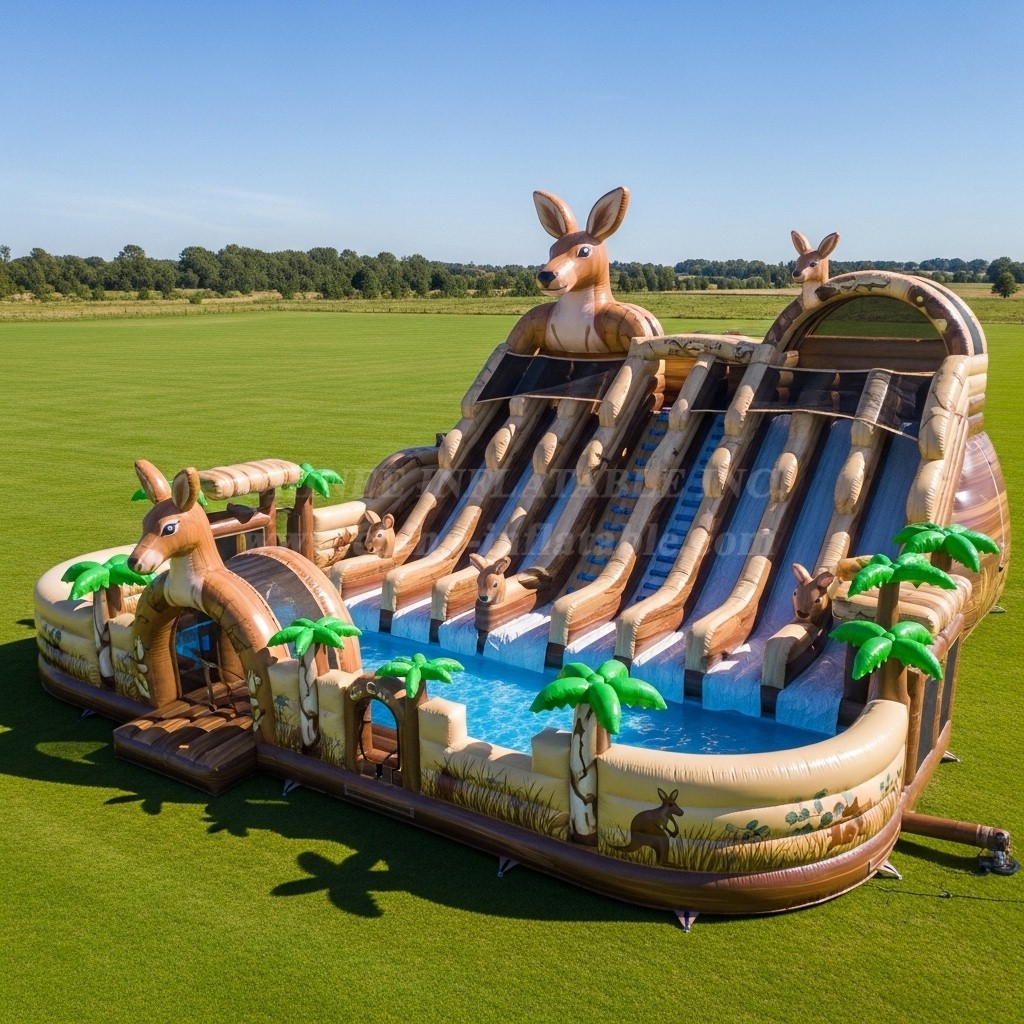 Pool3-480 Kangaroo Theme Pool Water Park