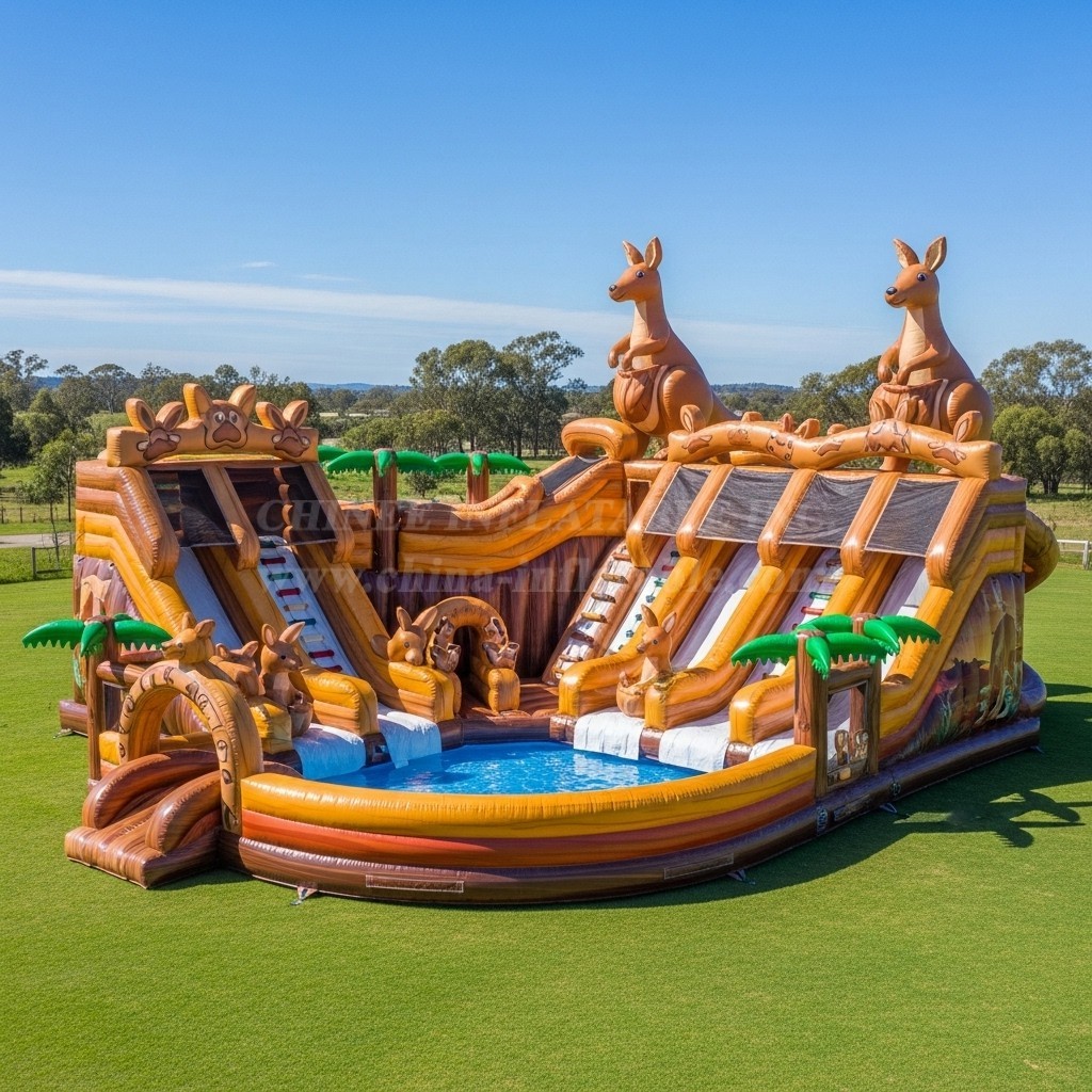 Pool3-481 Kangaroo Theme Pool Water Park