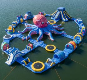 S296 Octopus Theme Water Park