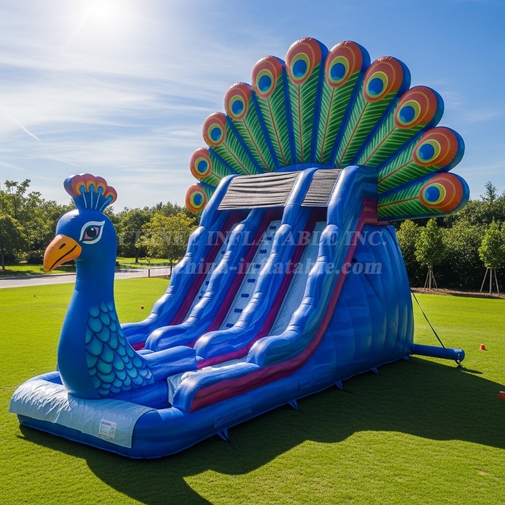 T8-5740 Peacock Theme Inflatable Water Slide