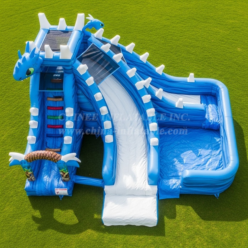 T8-7269 How to Train Your Dragon Theme Inflatable Water Slide