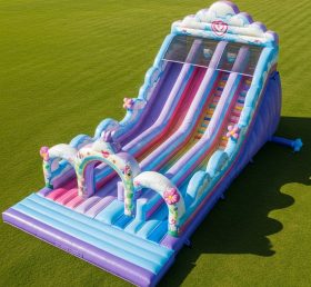 T8-8868 Rainbow Inflatable Slide