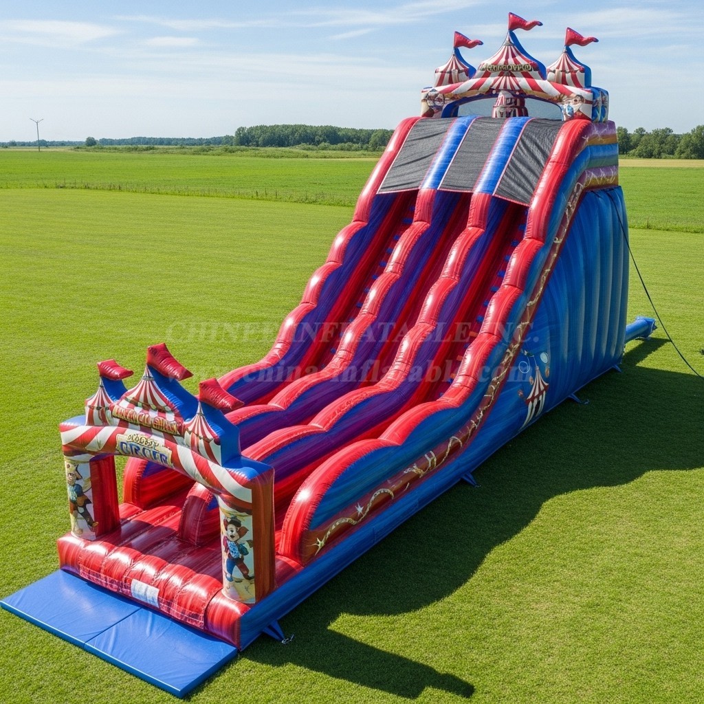 T8-8915 Circus Inflatable Dry Slide