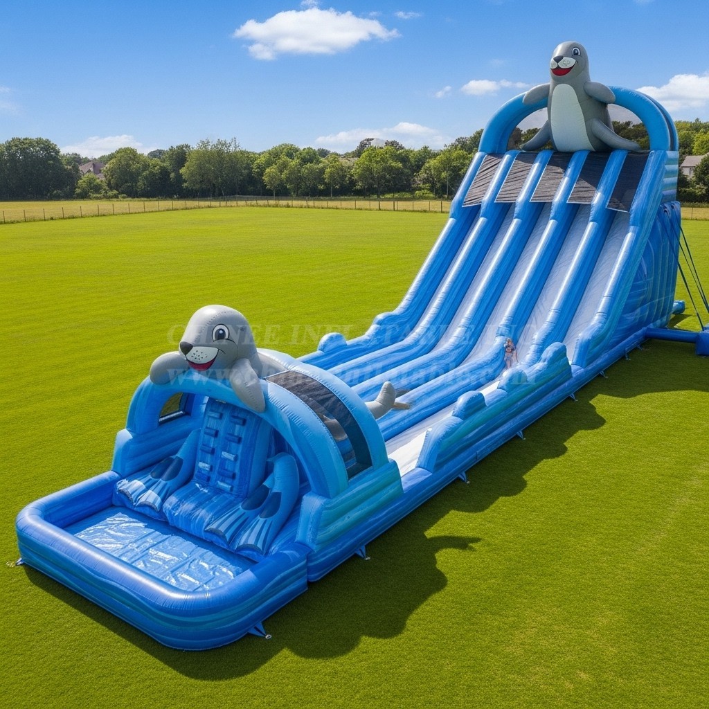 T8-9009 Seal Inflatable Water Slide