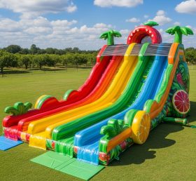 T8-9159 Tropical Fruit Inflatable Slide