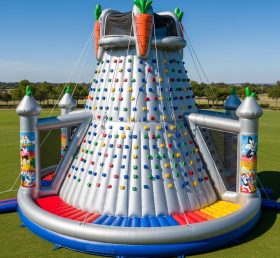 T11-4242 Looney Tunes Theme Inflatable Climbing Wall