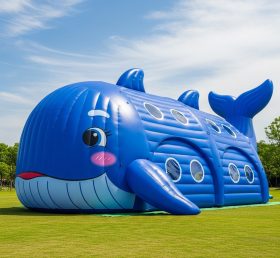 Tent1-6096 Whale Inflatable Structure Inflatable Tent