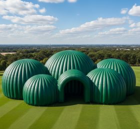 Tent1-6217 Green Dome Cluster Inflatable Dome
