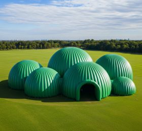 Tent1-6218 Green Dome Cluster Inflatable Dome