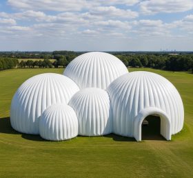 Tent1-6233 White Dome Cluster Inflatable Dome