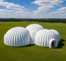 Tent1-6236 Geodesic Dome White Inflatable Dome