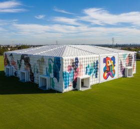 Tent1-6440 Inflatable Rectangular Art Tent