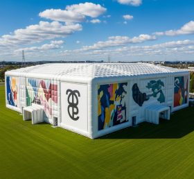 Tent1-6460 Monumental Inflatable Art Exhibition