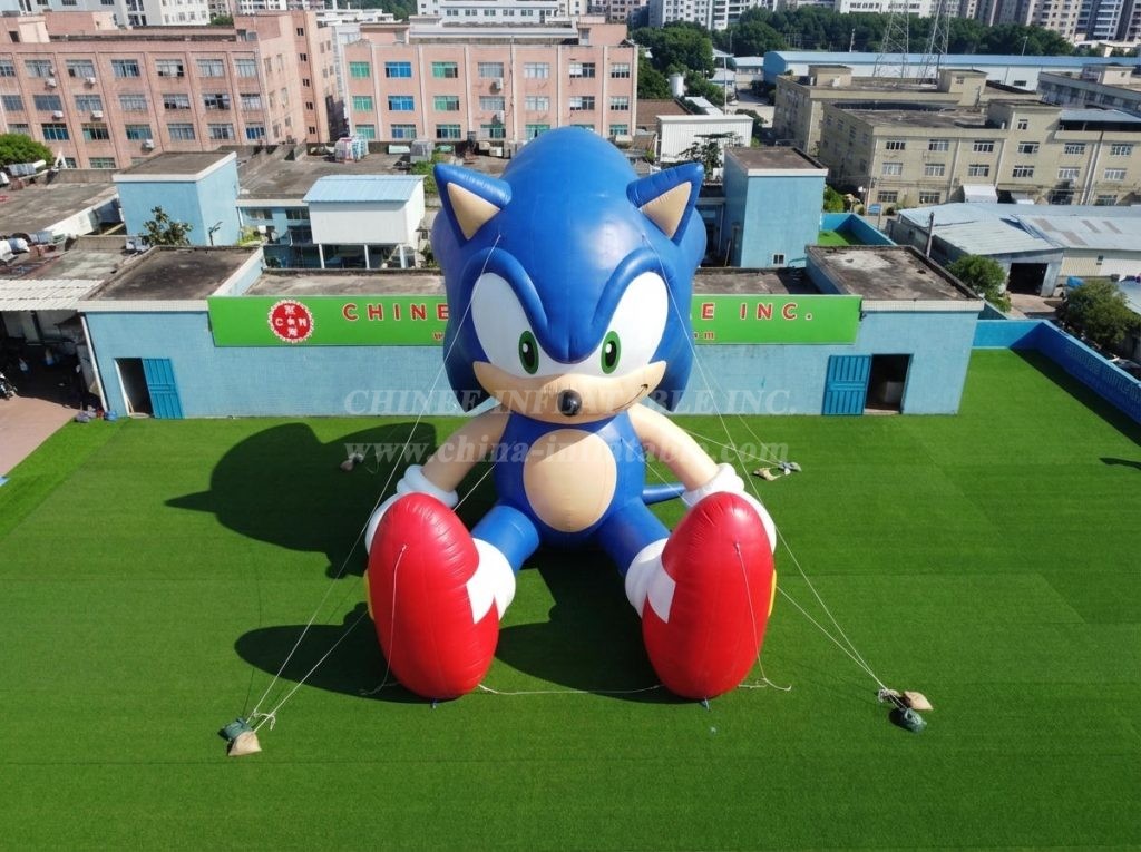 Cartoon3-856 Sonic Theme Inflatable Cartoon