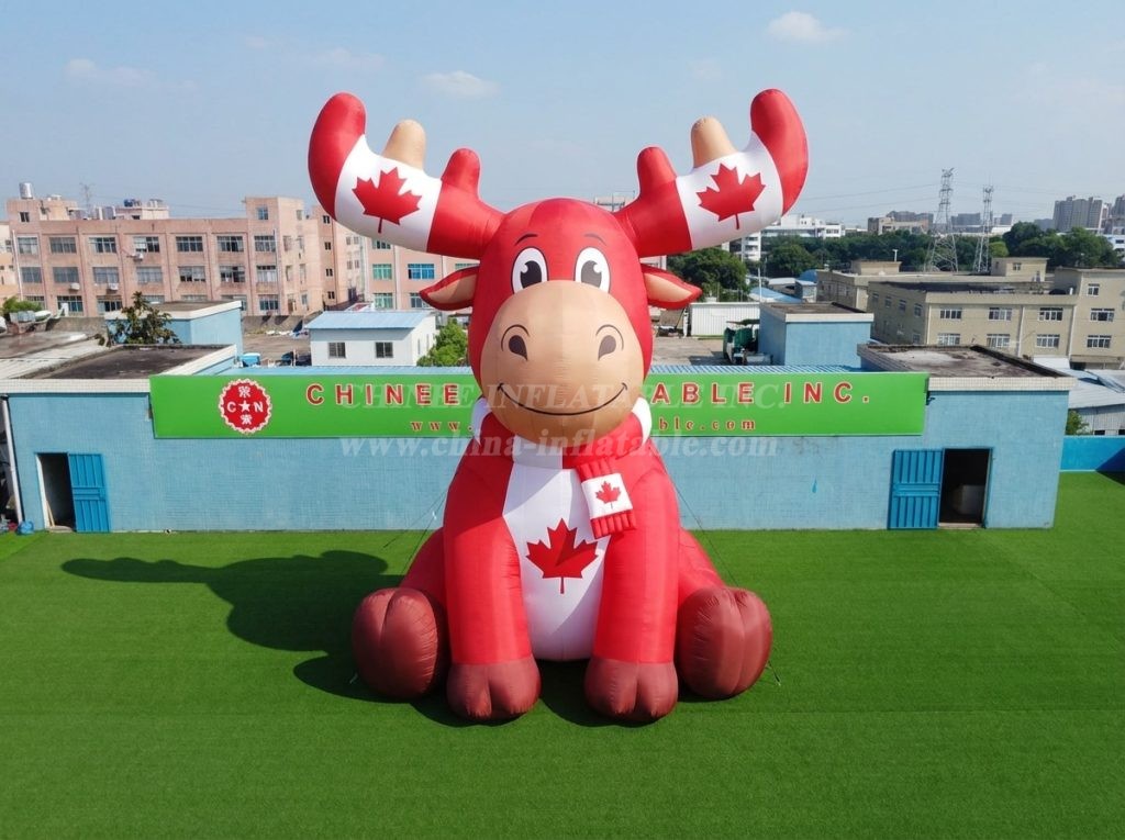 Cartoon3-906 Canada Theme Inflatable Cartoon