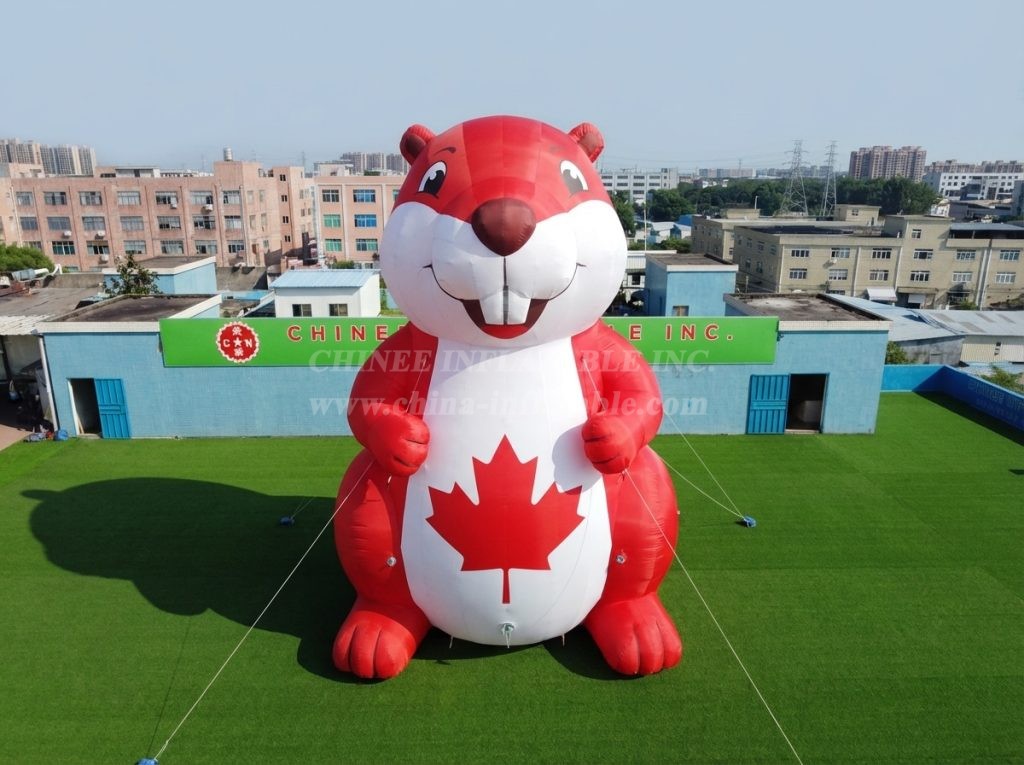 Cartoon3-907 Canada Theme Inflatable Cartoon
