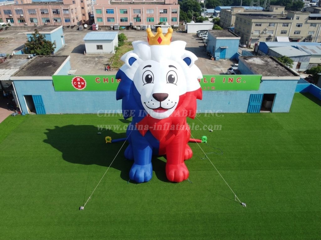 Cartoon3-910 Czechia Theme Inflatable Cartoon