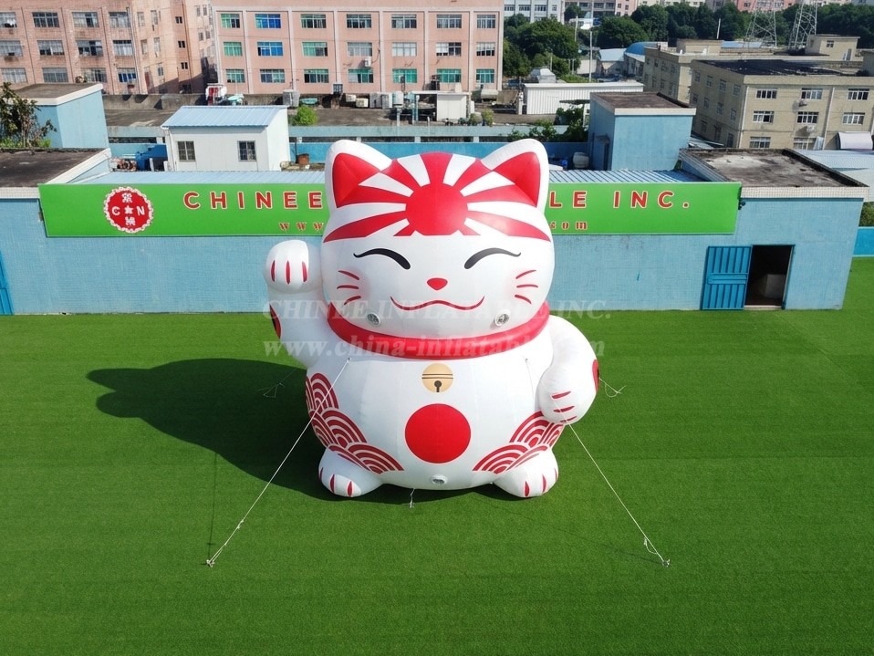 Cartoon3-937 Japan Theme Inflatable Cartoon
