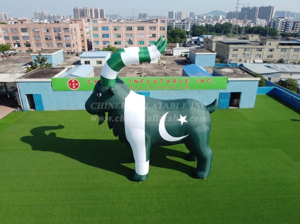 Cartoon3-947 Pakistan Theme Inflatable Cartoon