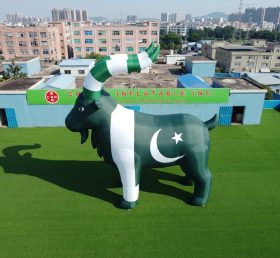 Cartoon3-947 Pakistan Theme Inflatable Cartoon