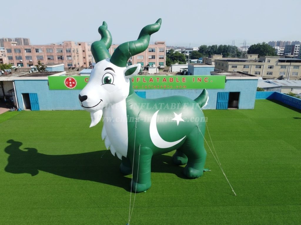 Cartoon3-948 Pakistan Theme Inflatable Cartoon