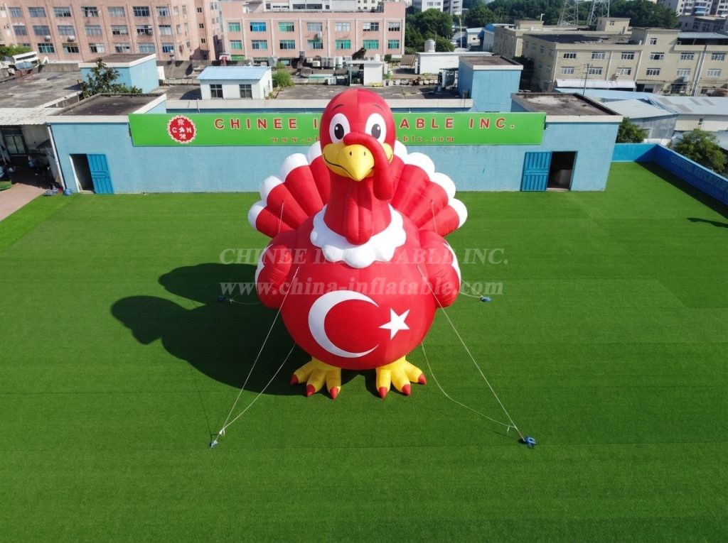 Cartoon3-978 Turkey Theme Inflatable Cartoon