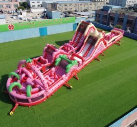 CR2-916 Strawberry Shortcake Theme Giant Obstacle Course Challenging Run