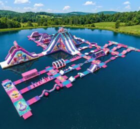 S649 Shimmer & Shine Theme Inflatable Water Park