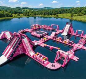 S698 Pink Panther Theme Inflatable Water Park