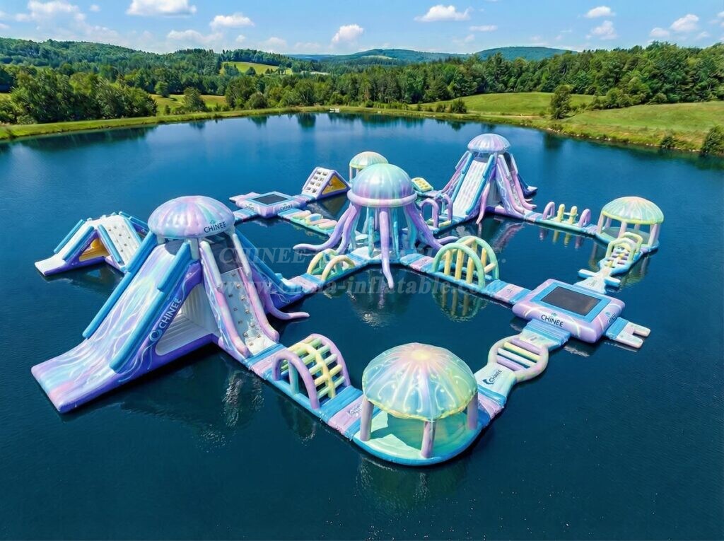 S856 Jellyfish Theme Inflatable Water Park