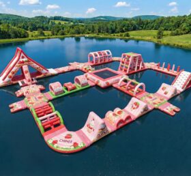 S933 Strawberry Shortcake Theme Inflatable Water Park